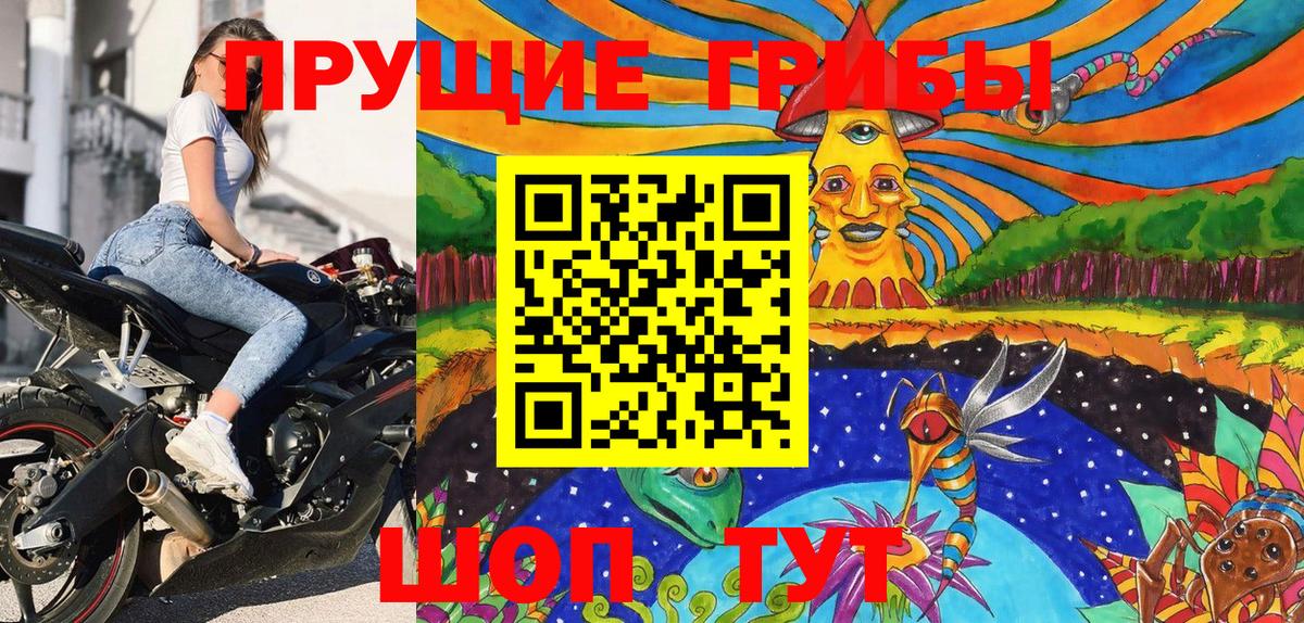 Псилоцибиновые грибы Psilocybe Электросталь